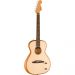 Fender Highway Parlor, RW Natural Spruce